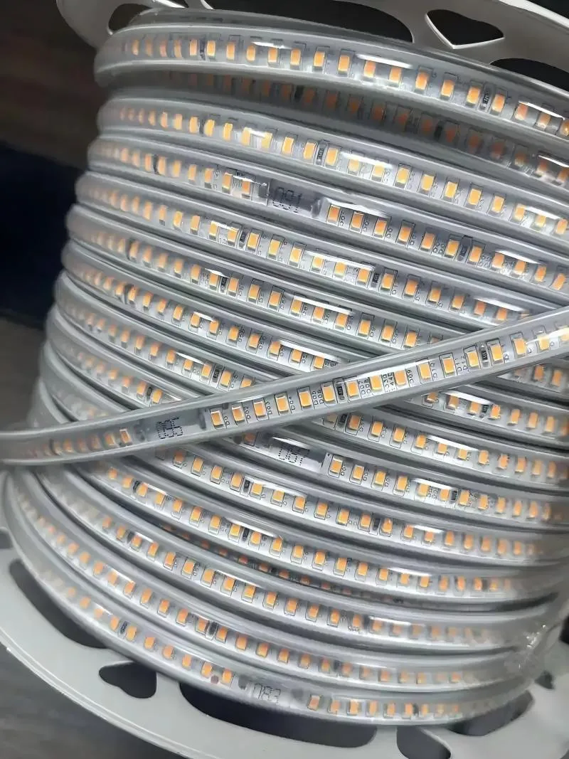 3735697831 3735697831